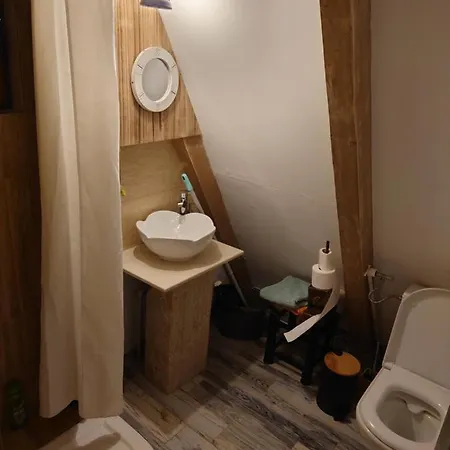 Holiday home Razele Trascaului