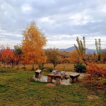 Holiday home Razele Trascaului